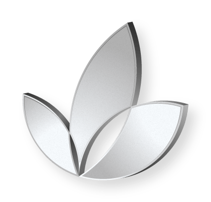 silver_logo