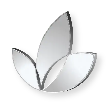 silver_logo