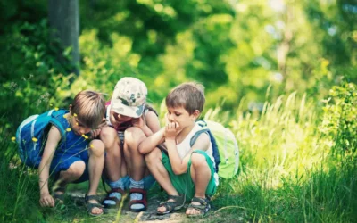 Buzz Off, Bugs! How to Keep Kids Safe from Insect Bites